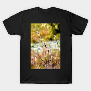 Autumn Grasses T-Shirt